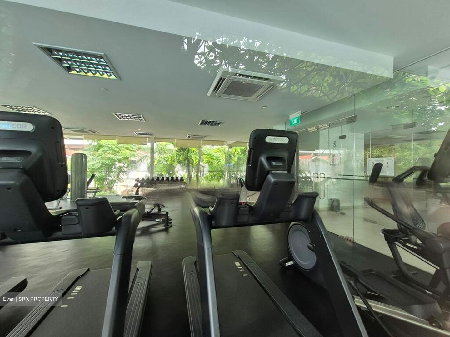 Citylights (D8), Condominium #490406201